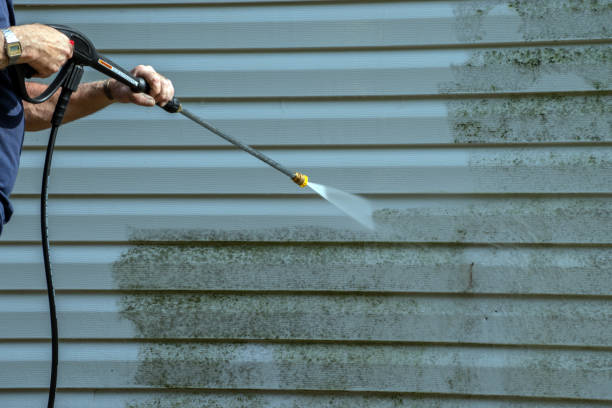 Best Fence Cleaning  in Cadillac, MI