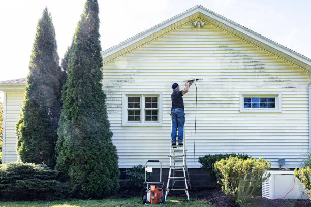 Best Building Exterior Washing  in Cadillac, MI
