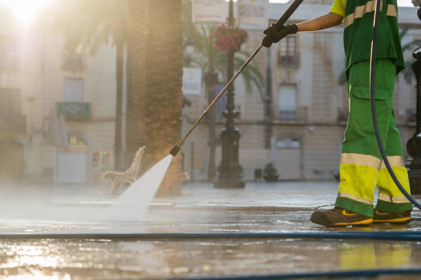 Best Pre-Holiday Cleaning  in Cadillac, MI